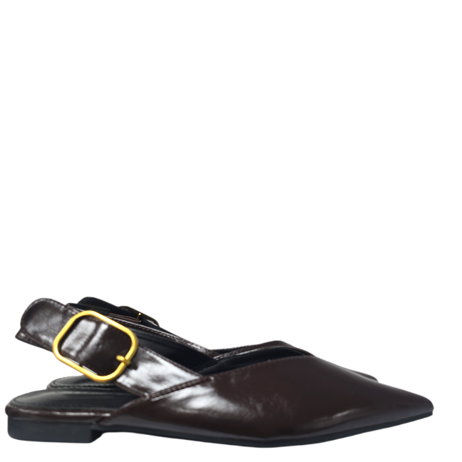 M63Zpto.plano hebilla