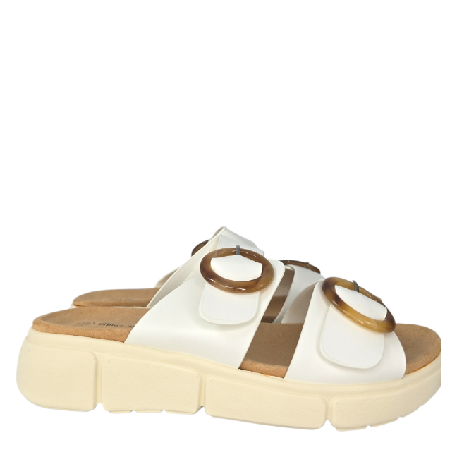 M.304Zueco hebillas carey